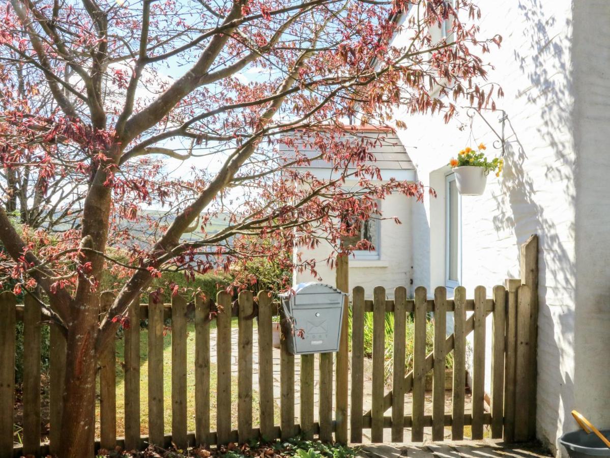 Spring Cottage Ilfracombe Exterior foto